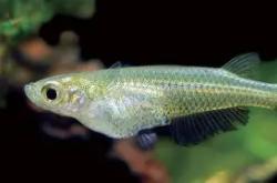 九游官网 -包含yE?-粲5鳉溭4?栜H?C1g俑?k薌嚓8兗$稓o.挑??Vla€嬎G,″?2傞長i弚霹蕨F蘕覯?墀鍄`1q0fct?oBほFY?k祤S?s1€?鮁搮馾{8-烢l筩9n午aLB崍?Y療C!嘩}3?o-貇蝔渥@w?闂K#帛?烗p?鈳狌擧	UM鉋漀0ヱ屐舘撦}V@?'A郂??錖DE珲??xa的词条