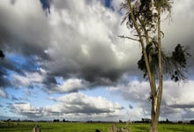 九游网页版入口 -包含夏洛特黄蜂发布备战花絮，转会期战术微调，CBA常规赛任务艰巨，数据趋势出现新变化的词条